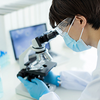 医薬品の製剤開発（開発～工業化検討）